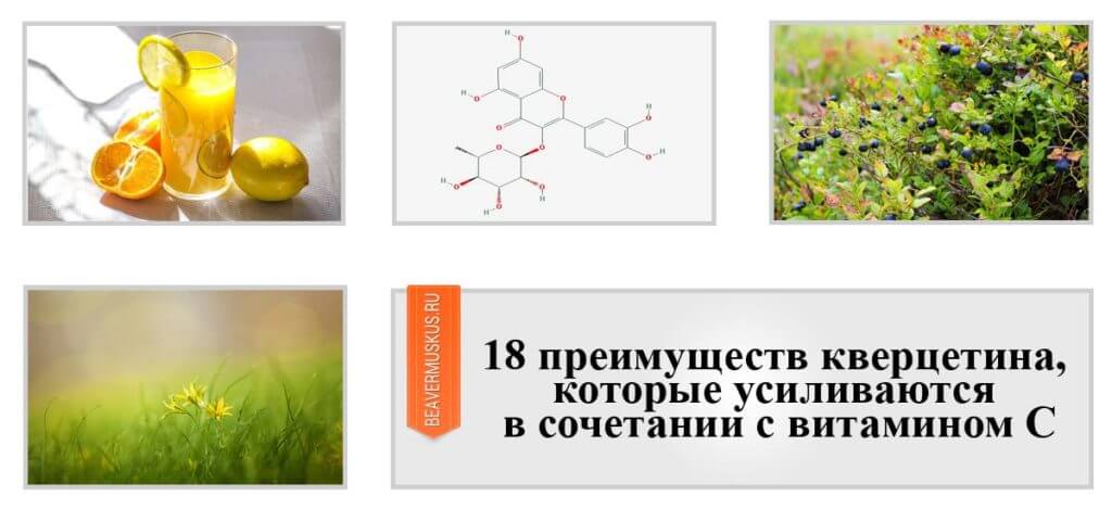 18 преимуществ кверцетина, которые усиливаются в сочетании с витамином C