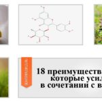 18 преимуществ кверцетина, которые усиливаются в сочетании с витамином C