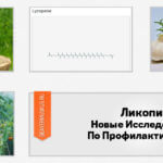 Ликопин Новые Исследования По Профилактике Рака